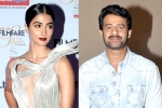 Pooja Hegde latest, NTR, pooja hegde all set to romance prabhas, Duvvada jagannadham Pooja Hegde latest, NTR, pooja hegde all set to romance prabhas, Duvvada jagannadham