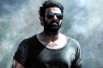 Prabhas about Salaar, Prithviraj Sukumaran Telugu film, prabhas salaar to have malayalam star, Shruthi