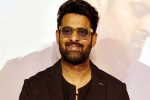 Prabhas, Prabhas Vintage King business, interesting title for prabhas next, Zarina wahab