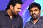 Prabhas and Maruthi film budget, Prabhas and Maruthi film new title, new title for prabhas and maruthi film, Nidhhi agerwal