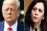 Amy Tripp latest, Amy Tripp family, astrologer predictions about the new us president, Amy tripp