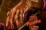 Allu Arjun, Allu Arjun, allu arjun s dedication for pushpa the rule, Rockstar