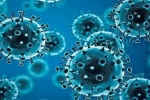 R.1 Coronavirus treatment, R.1 Coronavirus updates, r 1 variant of coronavirus traced in 35 countries, Coronavirus in usa