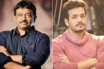 Akhil Akkineni, Nagarjuna news, ram gopal varma to direct akhil, Rgv twitter