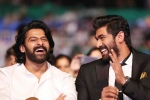 rana daggubati, prabhas in baahubali, prabhas was the pillar of baahubali says rana daggubati, Housefull 2