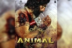 Ranbir Kapoor Animal release news, Animal, ranbir kapoor s animal updates, Independence day