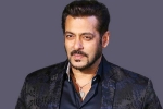salman khan biography, salman khan marriage, audience s love respect matter more than stardom salman khan, Ameesha patel