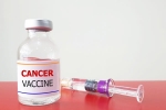 Russia Cancer Vaccine feedback, Russia Cancer Vaccine 2025, russia claims cancer vaccine discovery oncologists sceptical, Cancer patients
