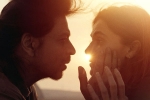 SRK, Dunki total business, srk s dunki to be high on violence, Rajkumar hirani
