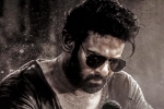 Salaar 2 budget, Shruti Haasan, new update from salaar 2, Prithviraj