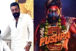 Pushpa: The Rule breaking, Sukumar, sanjay dutt s surprise in pushpa the rule, Business