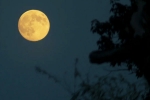 Supermoon 2025 breaking, Supermoon, science behind supermoon explained, Supermoon 2025