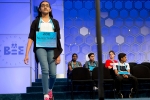 padhy, Scripps National Spelling Bee, indian origin spelling bee veteran shruthika padhy is back to compete in this year s annual bee, Shruthi