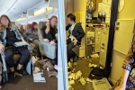 Singapore Airlines turbulence horror videos, Singapore Airlines turbulence, one dead and 30 injured in singapore airlines turbulence horror, Singapore airlines