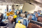Singapore Airlines turbulence horror injured, Singapore Airlines, singapore airlines statement after turbulence horror, Singapore airlines