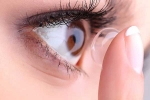 cornea, contact lens disadvantages, study sleeping in your contacts may cause stern eye damage, Cornea