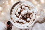 Hot Cocoa, recipe, spend christmas this year with the best hot cocoa, Chocolate