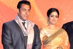 Salman Khan, Sridevi latest updates, sridevi to work with salman khan, English vinglish