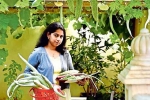 NRI going green, jyothy in farming, this nri in qatar keen on farming is going green, B m kutty