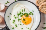 weight, cholesterol, top 5 benefits of eggs that ll make you to eat them every day, Breakfast
