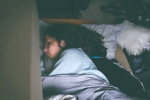 food for good sleep, how to sleep early, are you a night owl this one trick can help advance sleep time by 2 hours, Sleepiness