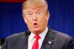 Donald Trump, Gurgaon, donald trump s investments in india to impact us foreign policy, Trump s win