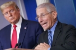 restrictions, covid-19, us could start reopening in may anthony fauci, Phil murphy