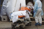 USA Coronavirus latest, USA Coronavirus total deaths, usa coronavirus deaths reaches 9 lakhs, Michigan