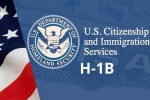 USICS latest report, USICS on H1B visas, uscis report claims more than 74 percent of indians accounted on h1b visas, Up government report USICS latest report, USICS on H1B visas, uscis report claims more than 74 percent of indians accounted on h1b visas, Up government report
