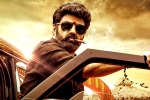 Veera Simha Reddy numbers, Veera Simha Reddy breaking updates, veera simha reddy sankranthi weekend collections, Veera simha reddy