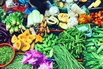 Vegetables in Monsoon breaking updates, Vegetables in Monsoon breaking updates, have these vegetables in monsoon for a better health, Monsoon diet