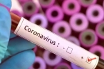 Coronavirus may never go, Vaccine for coronavirus, who warns covid 19 may never go away then what s the future of the world, Plague