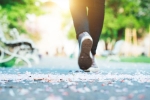 8500 Steps Vs Weight Regain latest, 8500 Steps Vs Weight Regain latest breaking, walking 8500 steps can help prevent weight regain, 8500 steps weight regain