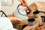 Wellness Tea breaking updates, Wellness Tea breaking, can wellness tea help with weight loss and belly fat, Antioxidants