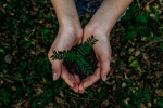 recycle, sustainable, what can you do to save earth, Landfill