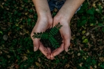 world earth day, earth, what can you do to save earth, Greta thunberg