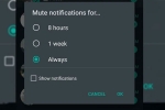 WABetaInfo, chats, whatsapp to bring always mute option for chats on android, Doodle