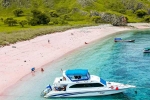 Pink Beach in Indonesia latest, Indonesia, which pink beach should you visit in indonesia, Planning