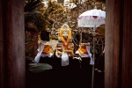 eco friendly ganesha online bangalore, eco friendly immersion of ganesha, 4 reasons why eco friendly ganesha is good for you environment, Eco friendly