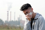 Winter Allergies Vs Pollution research, Winter Allergies Vs Pollution latest breaking, winter allergies vs pollution real reasons, Allergies