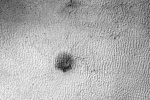 Martian spider, Martian spider, yards long spider on mars nasa, Candice