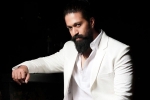 Tara Sutharia, Toxic, bollywood beauty to romance yash, Kgf chapter 2