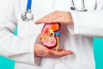 Kidney Health new tips, Kidney Health experts, top fruits that are good for kidney health, That