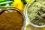 Henna colour, Henna latest updates, how henna helps for hair growth and health, Dandruff
