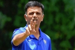 Rahul Dravid, Rahul Dravid news, rahul dravid to lead team india as head coach, Anil kumble