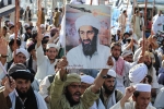 Bin Laden operations, Jihadists, bin laden continues to mobilize jihadists ten years after his death, Jihadists