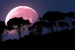 coronavirus, coronavirus, april s super pink moon to rise today biggest of the year, Supermoon