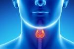 Throat Cancer Risk Factors, Throat Cancer Risk Factors, how to prevent throat cancer, Throat cancer types