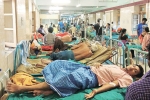 dengue causes, iron levels chart, people with low iron levels in blood likely to transmit dengue, Connecticut