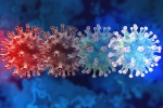 C.1.2 variant study, new coronavirus variant, latest coronavirus variant evades vaccine protection, Congo